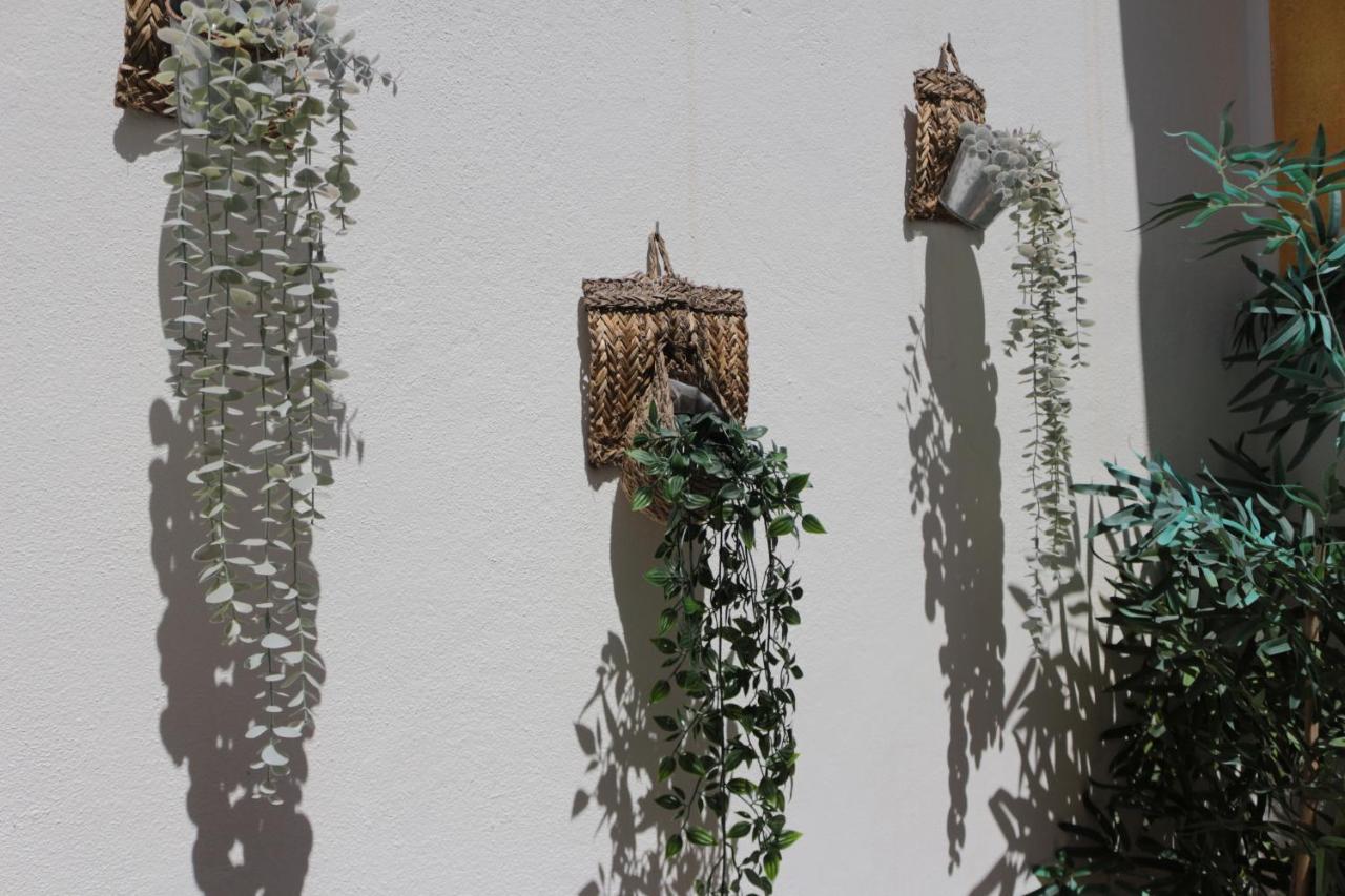 הוילה פארו Birdy House מראה חיצוני תמונה